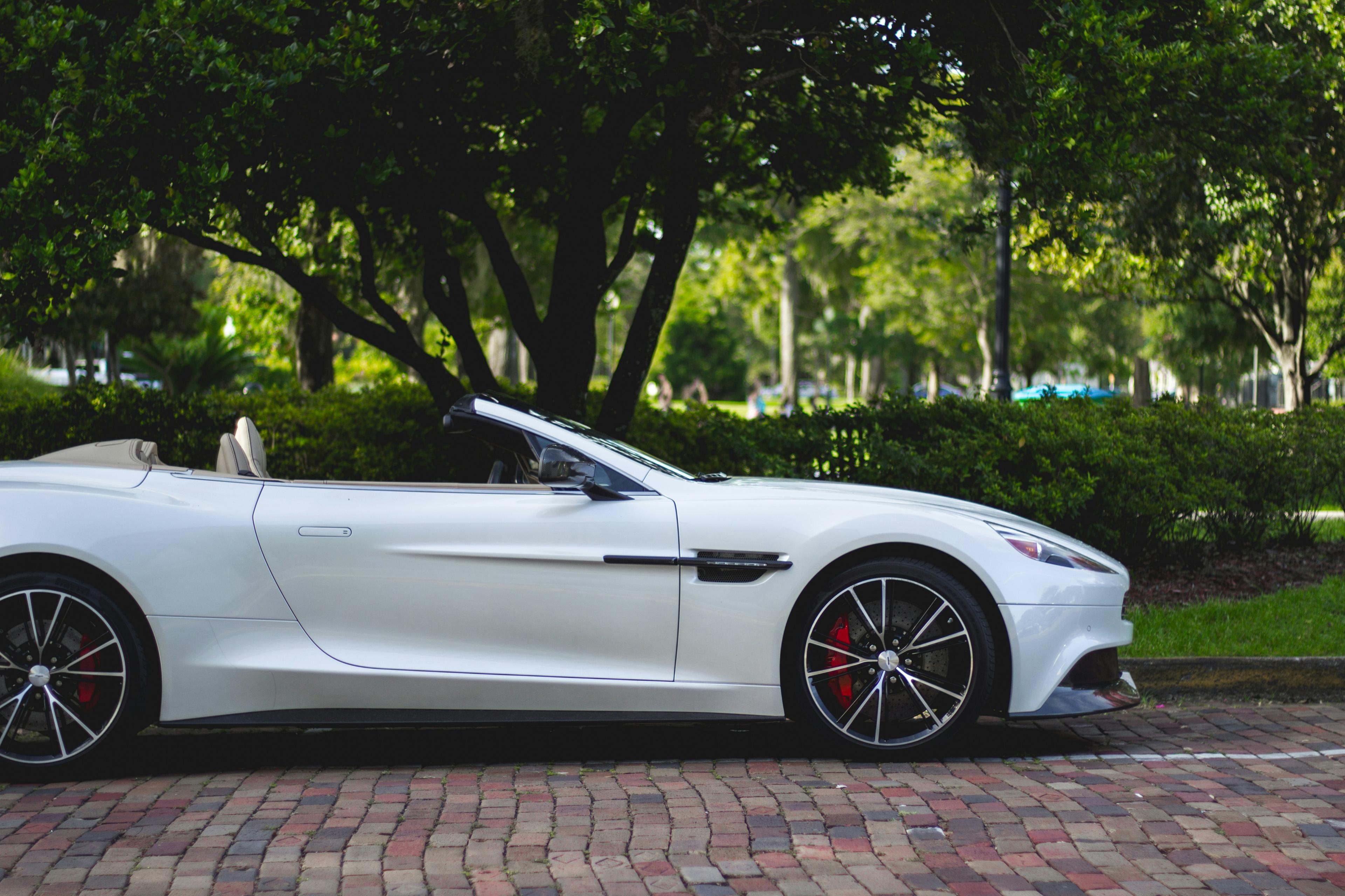 Luxury Car Showroom